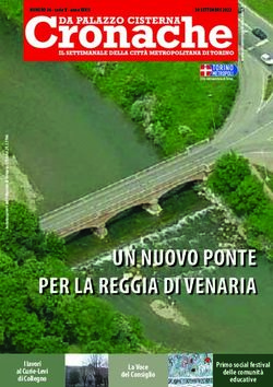 UN NUOVO PONTE PER LA REGGIA DI VENARIA