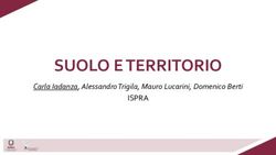SUOLO E TERRITORIO ISPRA - Carla Iadanza, Alessandro Trigila, Mauro Lucarini, Domenico Berti - SNPA Ambiente