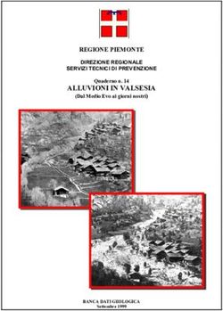ALLUVIONI IN VALSESIA - REGIONE PIEMONTE DIREZIONE REGIONALE SERVIZI TECNICI DI PREVENZIONE - Arpa Piemonte