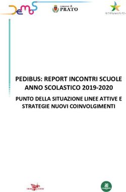 PEDIBUS: REPORT INCONTRI SCUOLE ANNO SCOLASTICO 2019-2020 - PUNTO DELLA SITUAZIONE LINEE ATTIVE E STRATEGIE NUOVI COINVOLGIMENTI