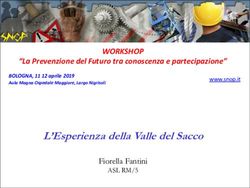 L'Esperienza della Valle del Sacco - WORKSHOP "La Prevenzione del Futuro tra conoscenza e partecipazione" - Snop