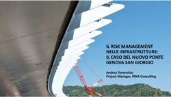 IL RISK MANAGEMENT NELLE INFRASTRUTTURE: IL CASO DEL NUOVO PONTE GENOVA SAN GIORGIO - Andrea Tomarchio Project Manager, RINA Consulting