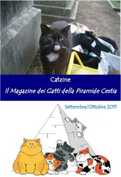 Catzine Il Magazine dei Gatti della Piramide Cestia - Settembre/Ottobre 2011
