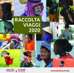 RACCOLTA VIAGGI RACCOLTA VIAGGI 2020 - www.ubuntu.travel - Ubuntu Travel