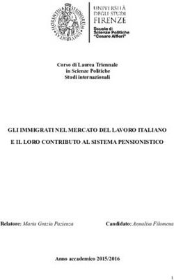 GLI IMMIGRATI NEL MERCATO DEL LAVORO ITALIANO E IL LORO CONTRIBUTO AL SISTEMA PENSIONISTICO