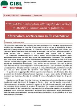 Electrolux, scetticismo sulle trattative - SUSEGANA I lavoratori alla vigilia dei vertici di Mestre e Roma: "Non ci fidiamo"