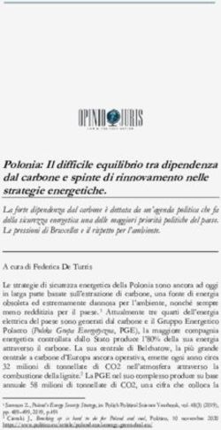 Polonia: Il difficile equilibrio tra dipendenza dal carbone e spinte di rinnovamento nelle strategie energetiche.