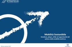 Mobilità Sostenibile Struttura, player, sfide ed opportunità del settore della mobilità elettrica - Assolombarda