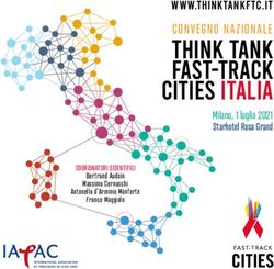 THINK TANK FAST-TRACK CITIES ITALIA - convegno nazionale WWW.THINKTANKFTC.IT Milano, 1 luglio 2021 Starhotel Rosa Grand