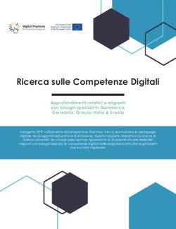 Ricerca sulle Competenze Digitali - CESIE
