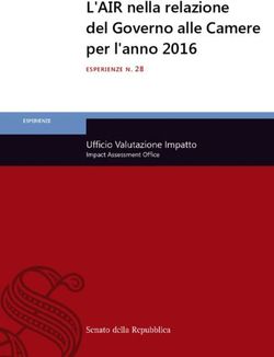 L'AIR nella relazione del Governo alle Camere per l'anno 2016 - ESPERIENZE N. 28