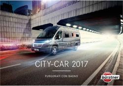 CITY-CAR 2017 FURGONATI CON BAGNO