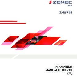 Z-E3756 - INFOTAINER MANUALE UTENTE IT