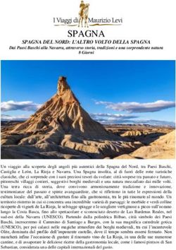 SPAGNA - I Viaggi di Maurizio Levi