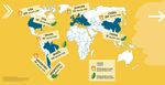 OLTRE IL BENESSERE: MERITANO RISPETTO - GLI ANIMALI D'ALLEVAMENTO Documento di posizione di Slow Food sull'allevamento
