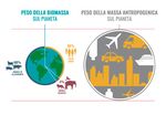 OLTRE IL BENESSERE: MERITANO RISPETTO - GLI ANIMALI D'ALLEVAMENTO Documento di posizione di Slow Food sull'allevamento