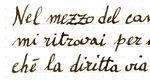 Octopus SEPIA SCHWARTZ - NERO SEPPIA di Giulio Fabricatore - IL PENNOFILO