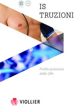 IS TRUZIONI - Profilo pressorio delle 24h - Viollier