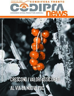 Crescono i valori assicurati al via la nuova pac - ANNO XIX - N. 3 - Codipra