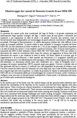 Monitoraggio dei canneti di Sirmione tramite drone MD4-200