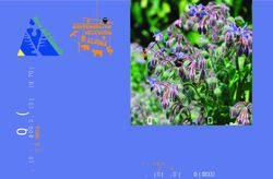 LA COMPAGNIA ORTO PREMIO AL MIGLIOR ORTO ALPINO - DELLA VALLE CAMONICA 2018 - Parco dell'Adamello