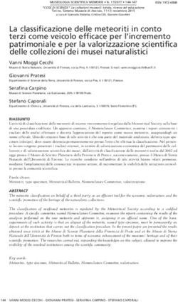 La classificazione delle meteoriti in conto terzi come veicolo efficace per l'incremento patrimoniale e per la valorizzazione scientifica delle ...