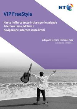 VIP FreeStyle Nasce l'offerta tutto incluso per le aziende Telefonia Fissa, Mobile e navigazione Internet senza limiti