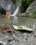 Programma degli incontri 2018 per gli animatori WWF