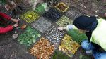 Programma degli incontri 2018 per gli animatori WWF