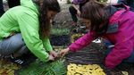 Programma degli incontri 2018 per gli animatori WWF