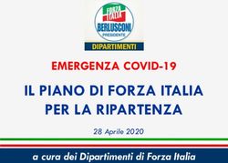 IL PIANO DI FORZA ITALIA PER LA RIPARTENZA - EMERGENZA COVID-19 - a cura dei Dipartimenti di Forza Italia - Gianluca ...
