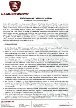 STADIO COMUNALE ARECHI DI SALERNO - US Salernitana ...