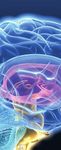 MSUMULTIPLE SCLEROSIS UPDATE