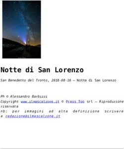 Notte di San Lorenzo - Il Mascalzone