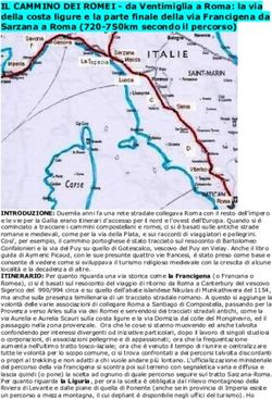 IL CAMMINO DEI ROMEI - da Ventimiglia a Roma: la via della costa ligure e la parte finale della via Francigena da Sarzana a Roma 720-750km ...