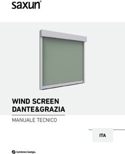 WIND SCREEN DANTE&GRAZIA - MANUALE TECNICO ITA - Saxun