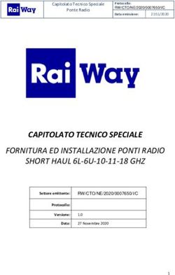 CAPITOLATO TECNICO SPECIALE - FORNITURA ED INSTALLAZIONE PONTI RADIO SHORT HAUL 6L-6U-10-11-18 GHZ - Rai Way
