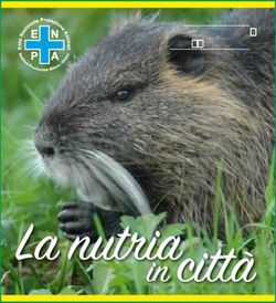 La nutria - VADEMECUM PER I CITTADINI - Ente Nazionale Protezione Animali
