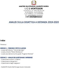 ANALISI SULLA DIDATTICA A DISTANZA 2019-2020 - C. S. MONTESSORI - IC ...
