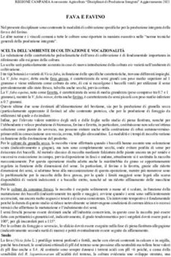 FAVA E FAVINO - assessorato agricoltura