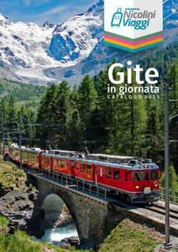 Gite in giornata CATALOGO 2021 - Gruppo Nicolini Viaggi