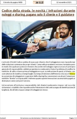 Codice della strada, le novit&agrave; / Infrazioni durante noleggi e sharing, pagano solo il cliente e il guidatore