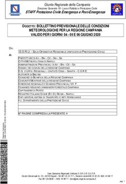 OGGETTO: BOLLETTINO PREVISIONALE DELLE CONDIZIONI METEOROLOGICHE PER LA REGIONE CAMPANIA VALIDO PER I GIORNI 04 - 05 E 06 GIUGNO 2020 - Pratola Serra