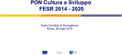 PON Cultura e Sviluppo - FESR 2014 - 2020 Sesto Comitato di Sorveglianza Roma, 26 luglio 2018