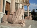 Francesco pergerusalemme - A piedi da Assisi al Porto Antico di Ancona