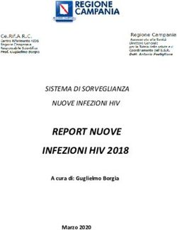 REPORT NUOVE INFEZIONI HIV 2018 - SISTEMA DI SORVEGLIANZA NUOVE INFEZIONI HIV A cura di: Guglielmo Borgia - Regione Campania