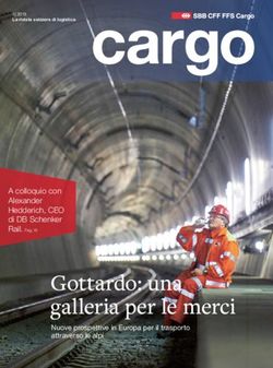 Gottardo: una galleria per le merci - A colloquio con Alexander Hedderich, CEO di DB Schenker - SBB Cargo