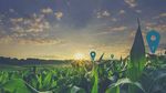 Una lunga storia professionale - IL PERITO AGRARIO E - Collegio Periti Agrari