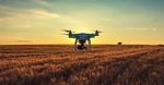 Una lunga storia professionale - IL PERITO AGRARIO E - Collegio Periti Agrari