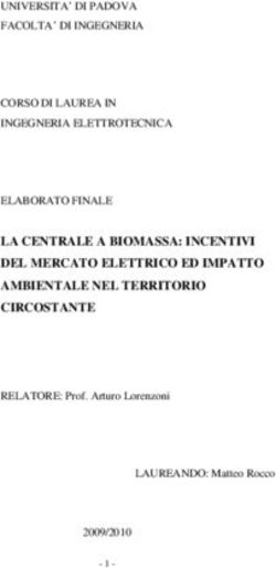 LA CENTRALE A BIOMASSA: INCENTIVI DEL MERCATO ELETTRICO ED IMPATTO AMBIENTALE NEL TERRITORIO CIRCOSTANTE